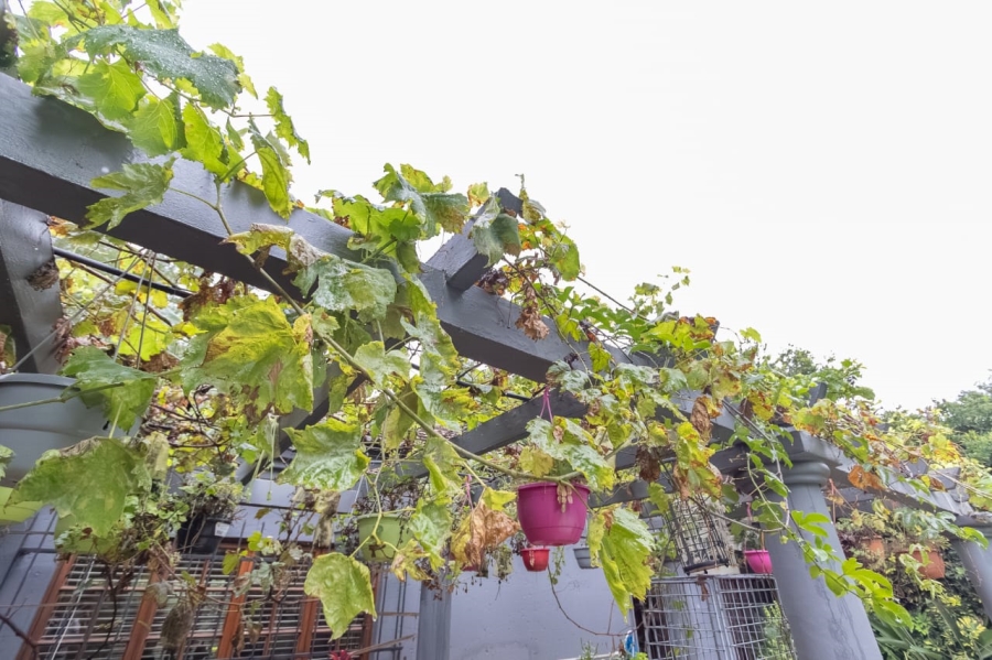 3 Bedroom Property for Sale in Safari Gardens North West